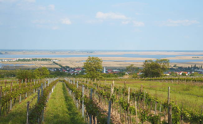 Mörbisch am See Seeblick